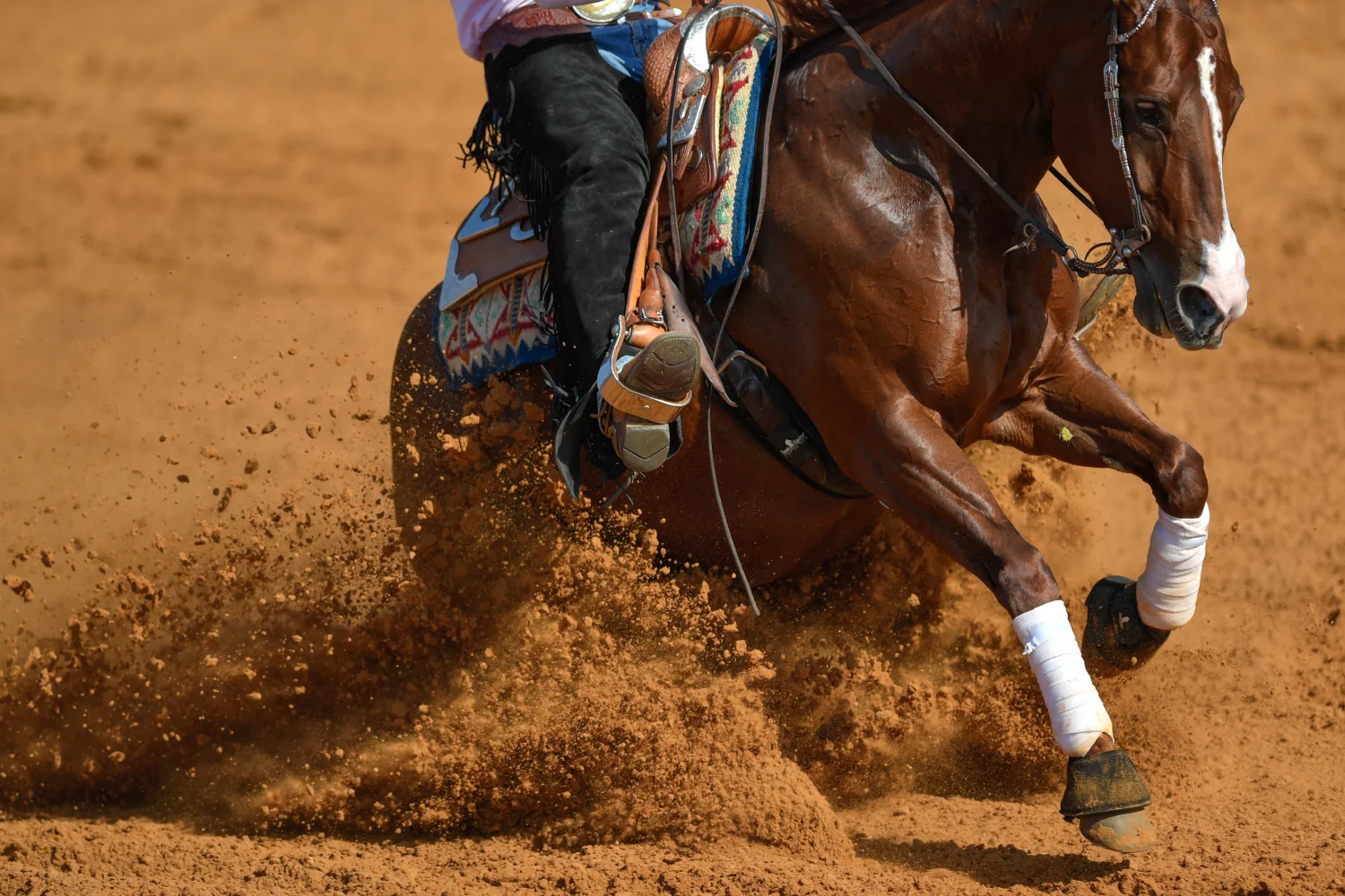 Manöver im Westernreiten