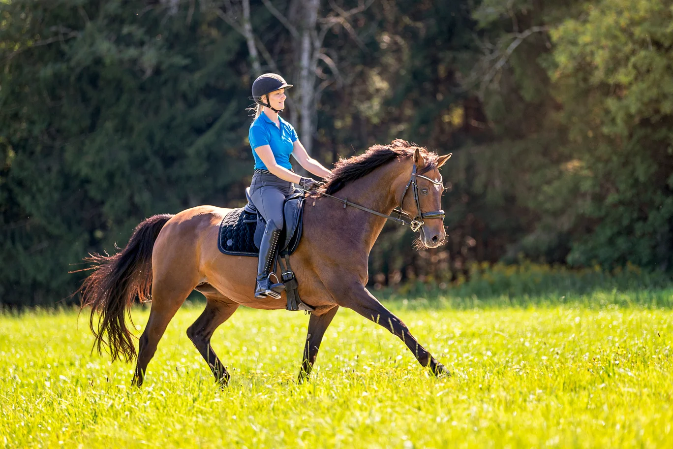 Ausreiten