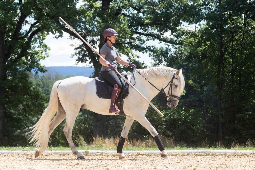 Working Equitation