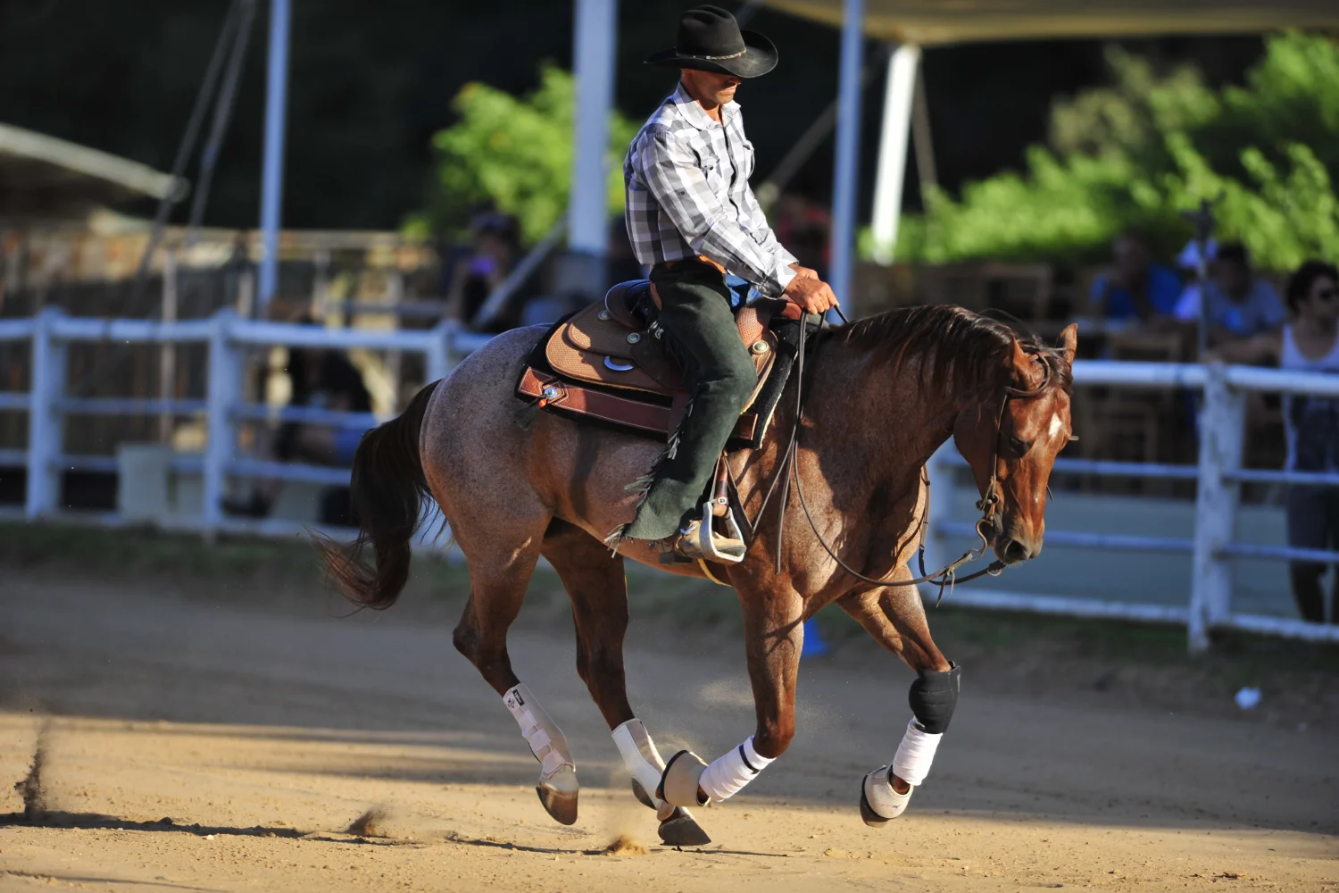 Disziplin Westernreiten Klassen Deutschland und Schweiz