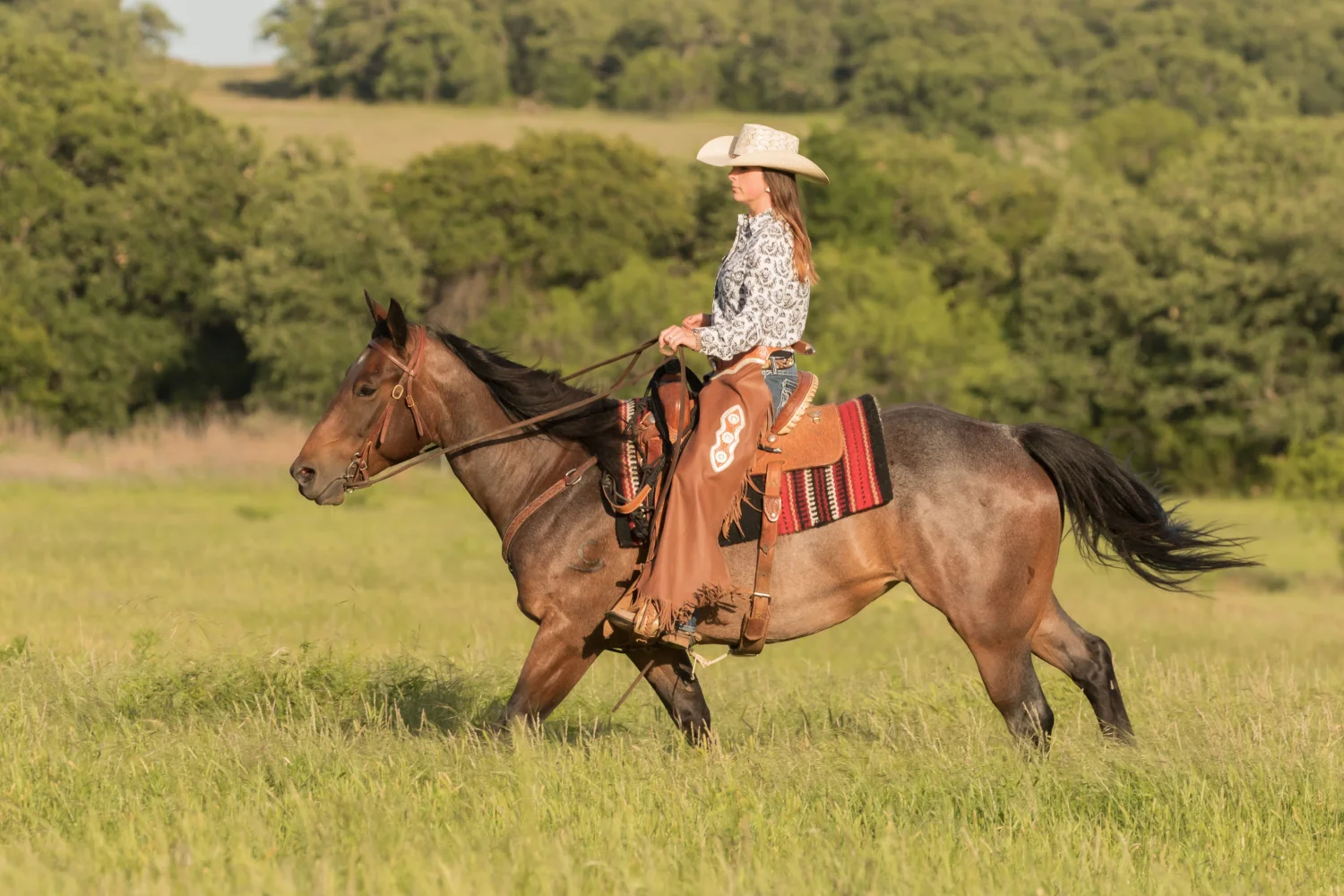 Ziele und Training erfolgreicher Reiter:innen in der Disziplin Westernreiten